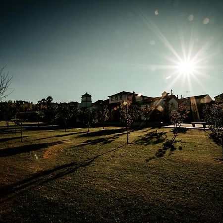 Solar De Maceira Aparthotel เซยา ภายนอก รูปภาพ